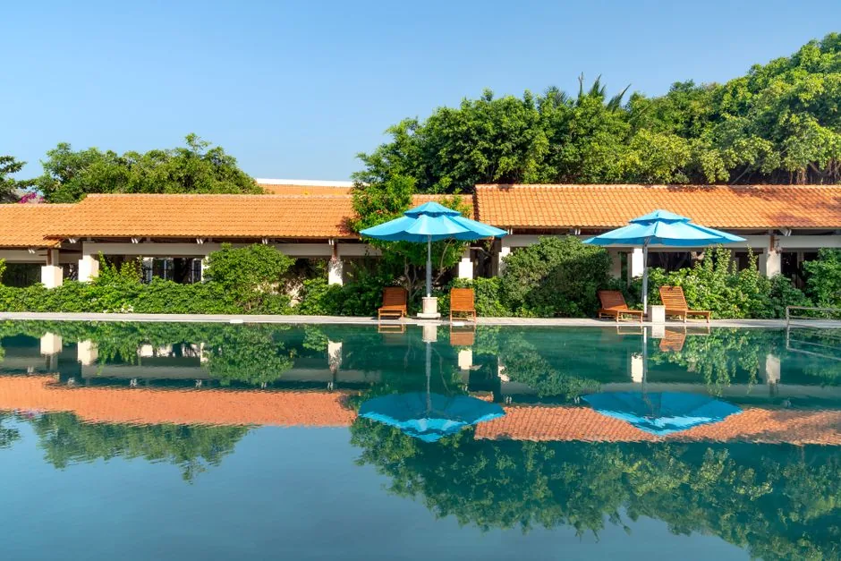 Hotel loyalty programs for beginners