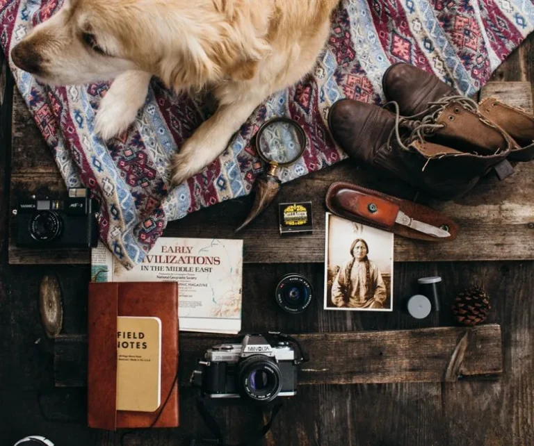Airbnb Hosting Tips for Beginners: How to Launch Your First Listing Successfully