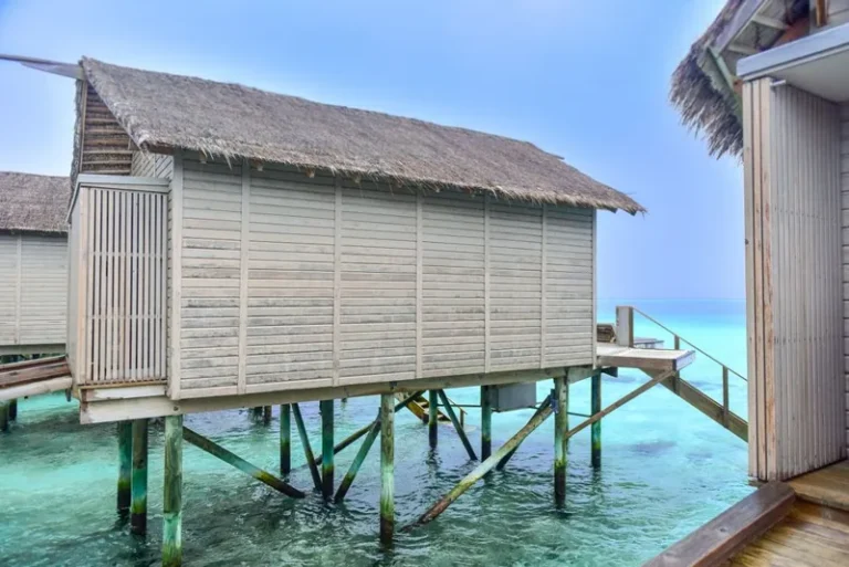 The 10 Best Family Resorts in Florida (Tested by Parents, Loved by Kids)