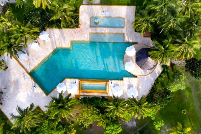 Pet Friendly Hotels Guide: How to Find and Book the Best Stays for You and Your Pet